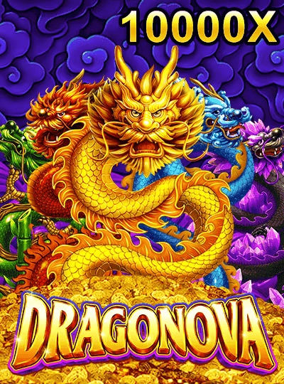 66mmr2